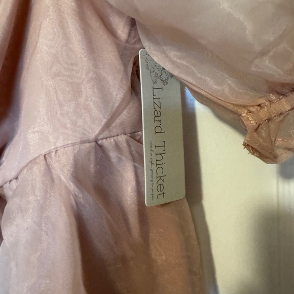 Lizard Thicket Blush Sheer Dress - Picture 3 of 6